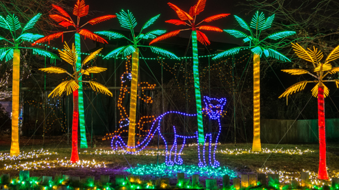 St Louis Zoo Christmas Lights 2020 | Christmas Lights 2020