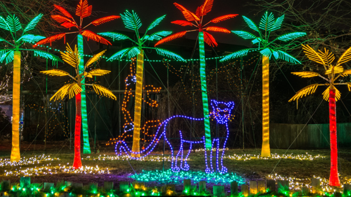 stl events Wild Lights returns to the Saint Louis Zoo