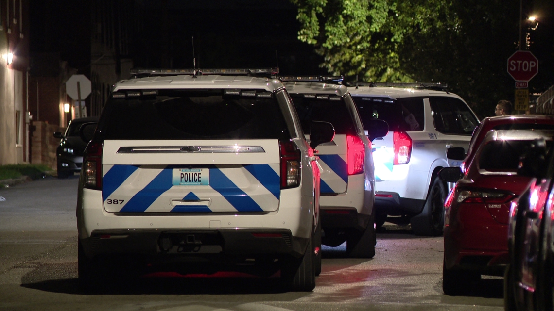 Teen found shot, killed in south St. Louis alley | ksdk.com