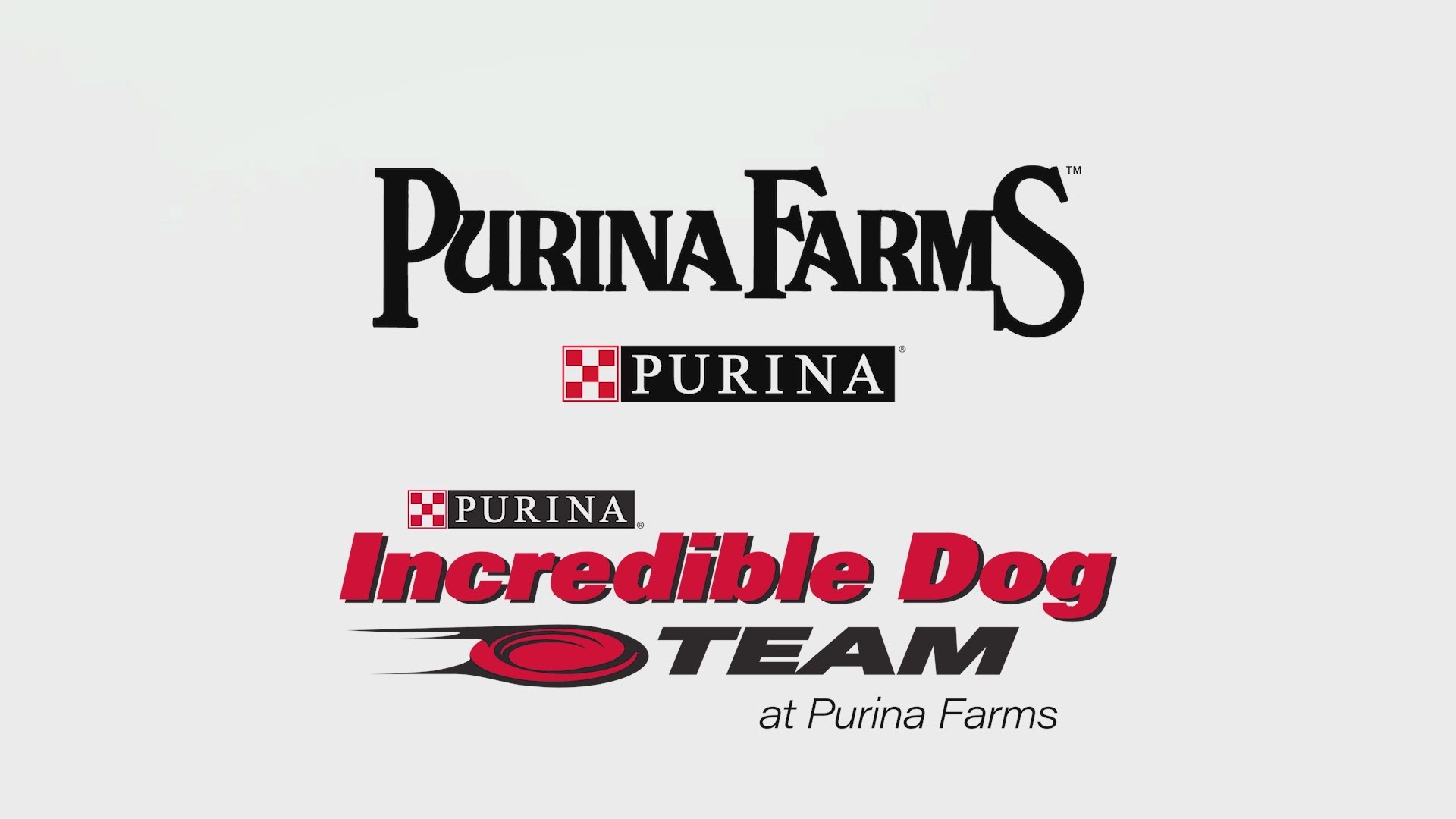 To celebrate the start of summer, Purina will be streaming a live performance by the Purina Incredible Dog Team.