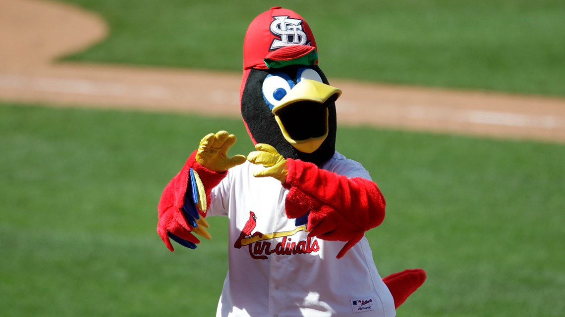 Fred Bird - St. Louis Cardinals, Baseball mascot tribute #8…