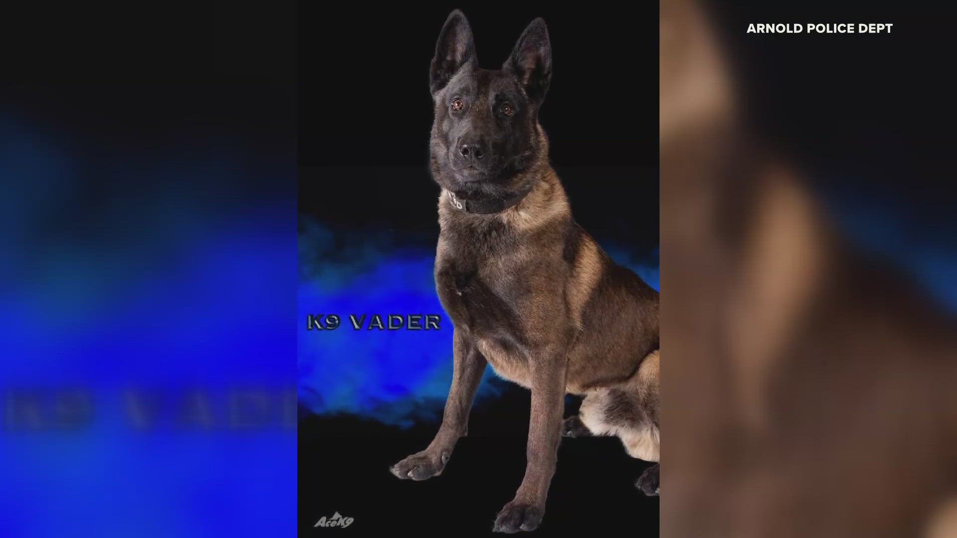 Arnold police are mourning a K-9 officer who died from heat exhaustion. The air conditioner and an alarm system in place to protect the dog both failed.