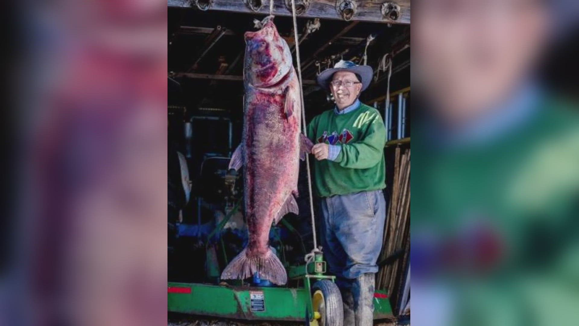George Chance broke the world record for pole-and-line bighead carp. He caught the monster fish in the Mississippi River.