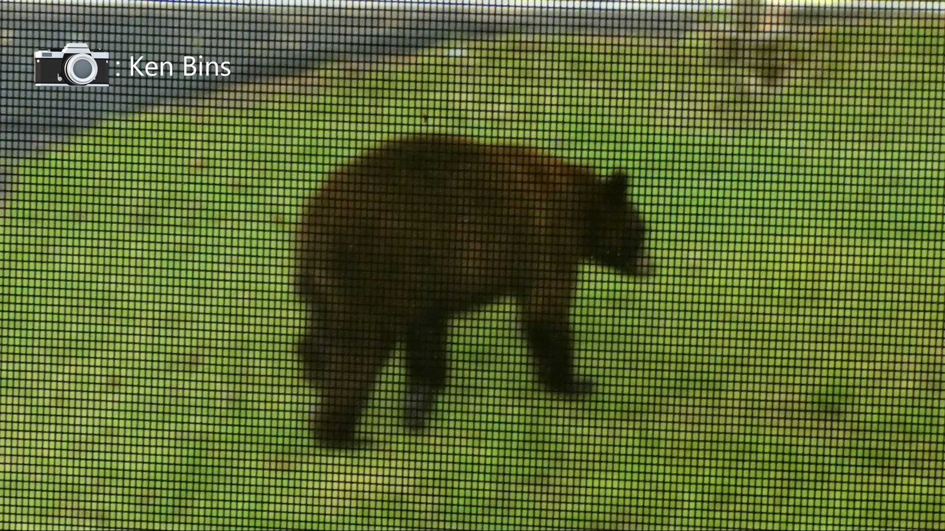 The Missouri State Highway Patrol said a bear was struck and killed Tuesday night on Interstate 55. It comes after an increase in bear sightings in Jefferson County.