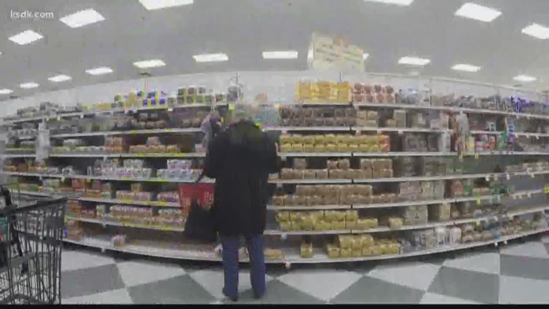 Check out this time lapse video of the bread disappearing.