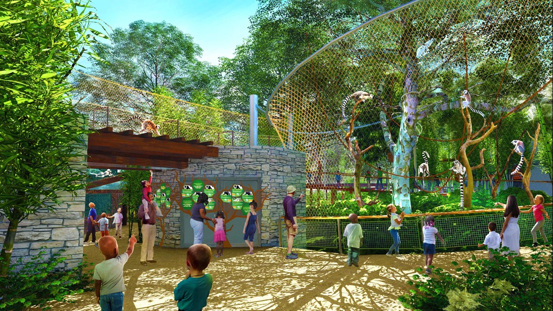 Saint Louis Zoo debuts plans for outdoor primate exhibit | ksdk.com