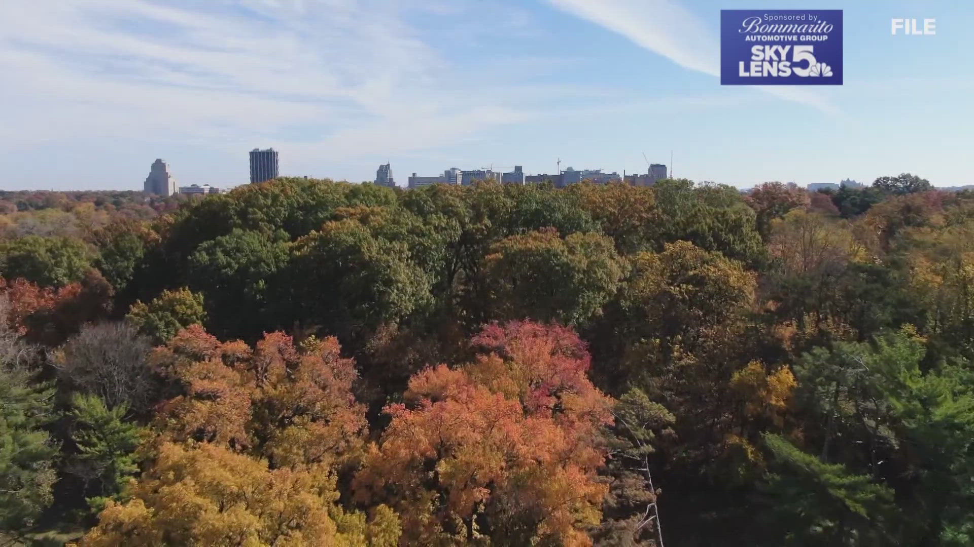 Leaves are starting to change colors in the St. Louis region. Peak fall foliage is expected in early November.