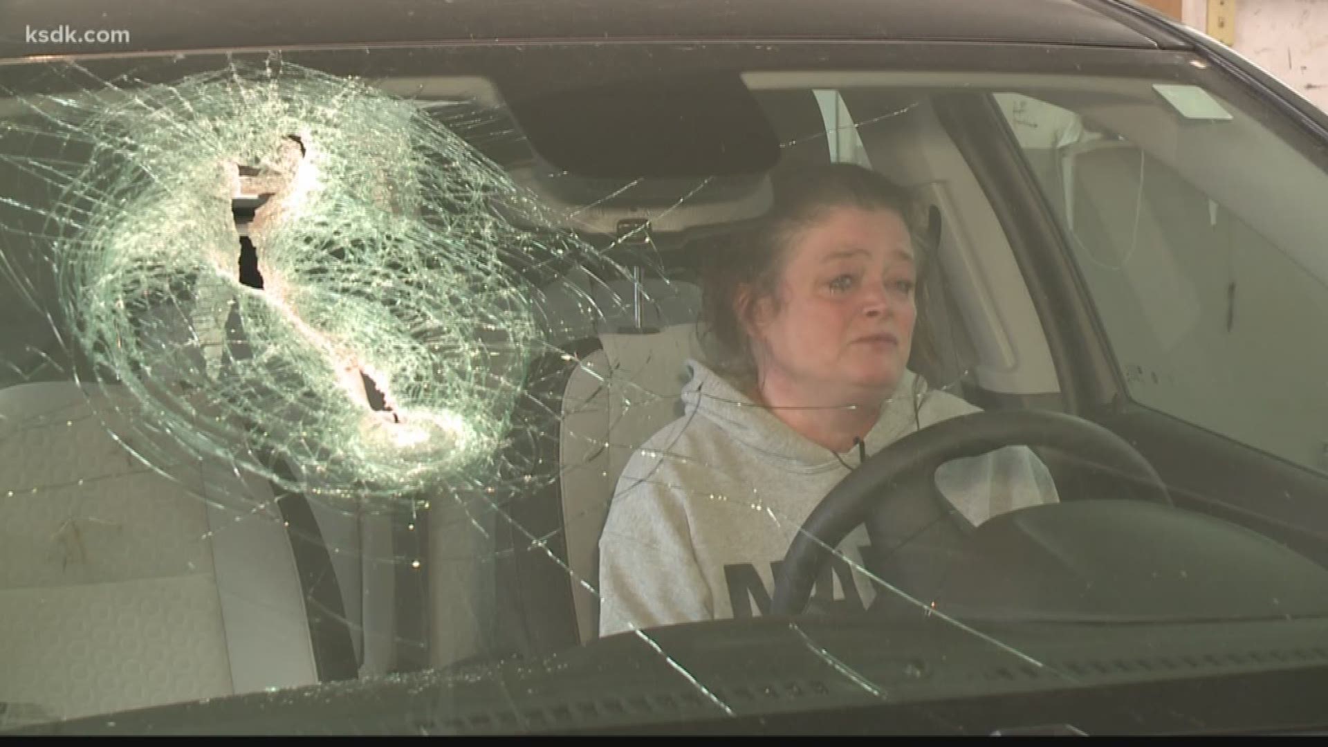 She was driving her granddaughter the windshield was smashed by something we probably drive over every day.