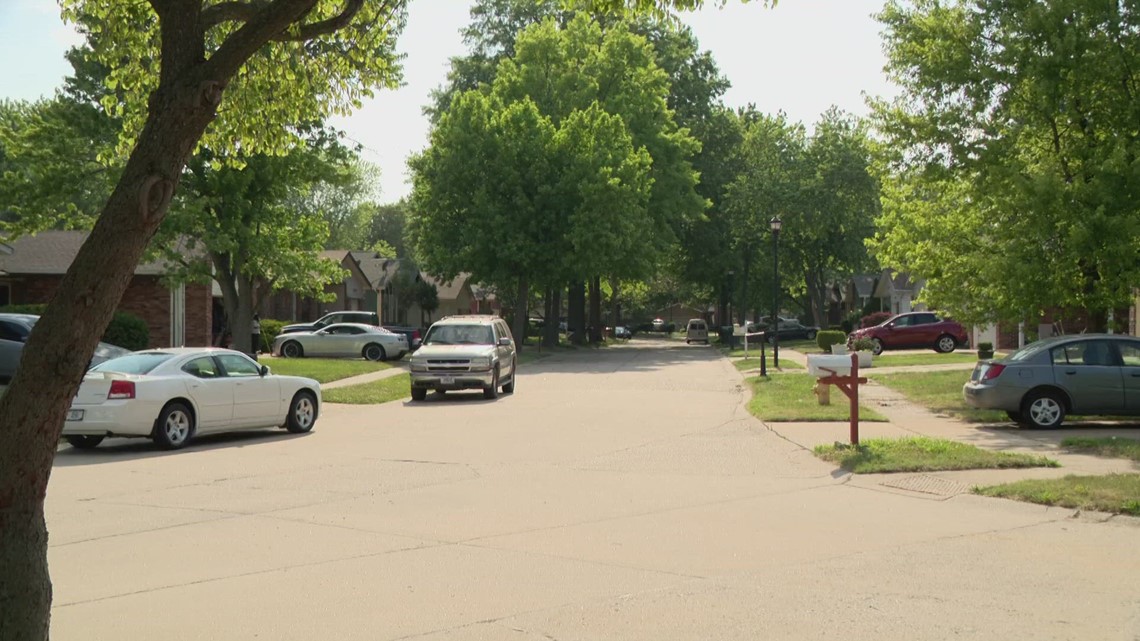 Rash of gun violence in north St. Louis County sparks concerns from longtime community activist - Vimarsana News