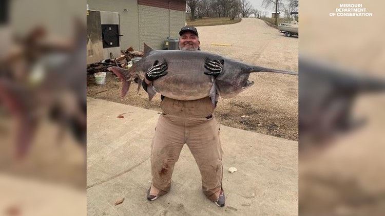 Illinois man catches Missouri state record paddlefish at Lake of the Ozarks