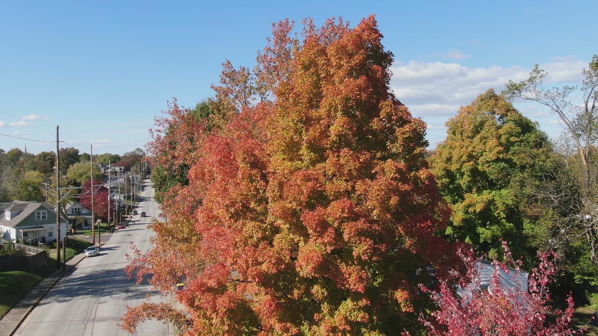 Sky Lens 5 captured the fall colors in Washington, MO on Wednesday.