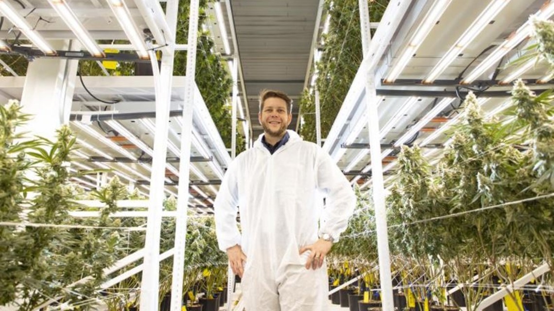 St. Louis construction company sees opportunity in cannabis - Vimarsana News