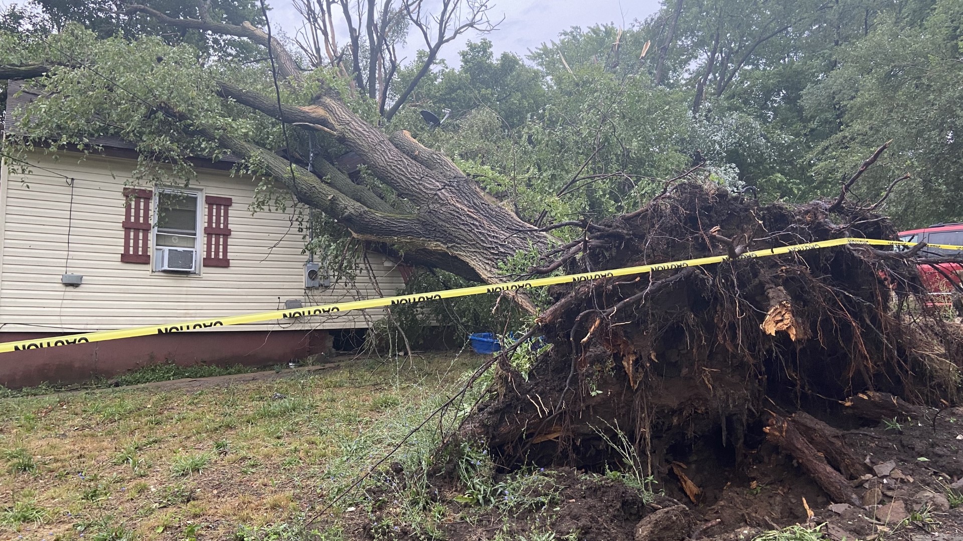 People in south St. Louis County have tree limbs all over their yards. Wednesday night's storm hit a few blocks in Affton particularly hard.