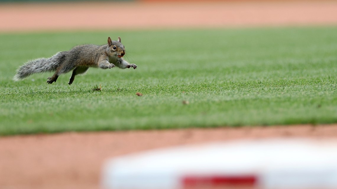 Boos fly in Busch Stadium as team's struggles continue