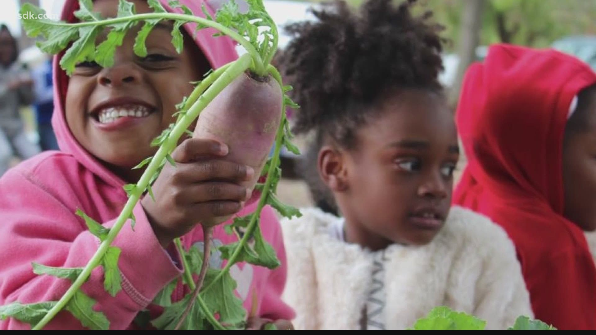 EarthDance wants to help share organic food knowledge and resources with their community.