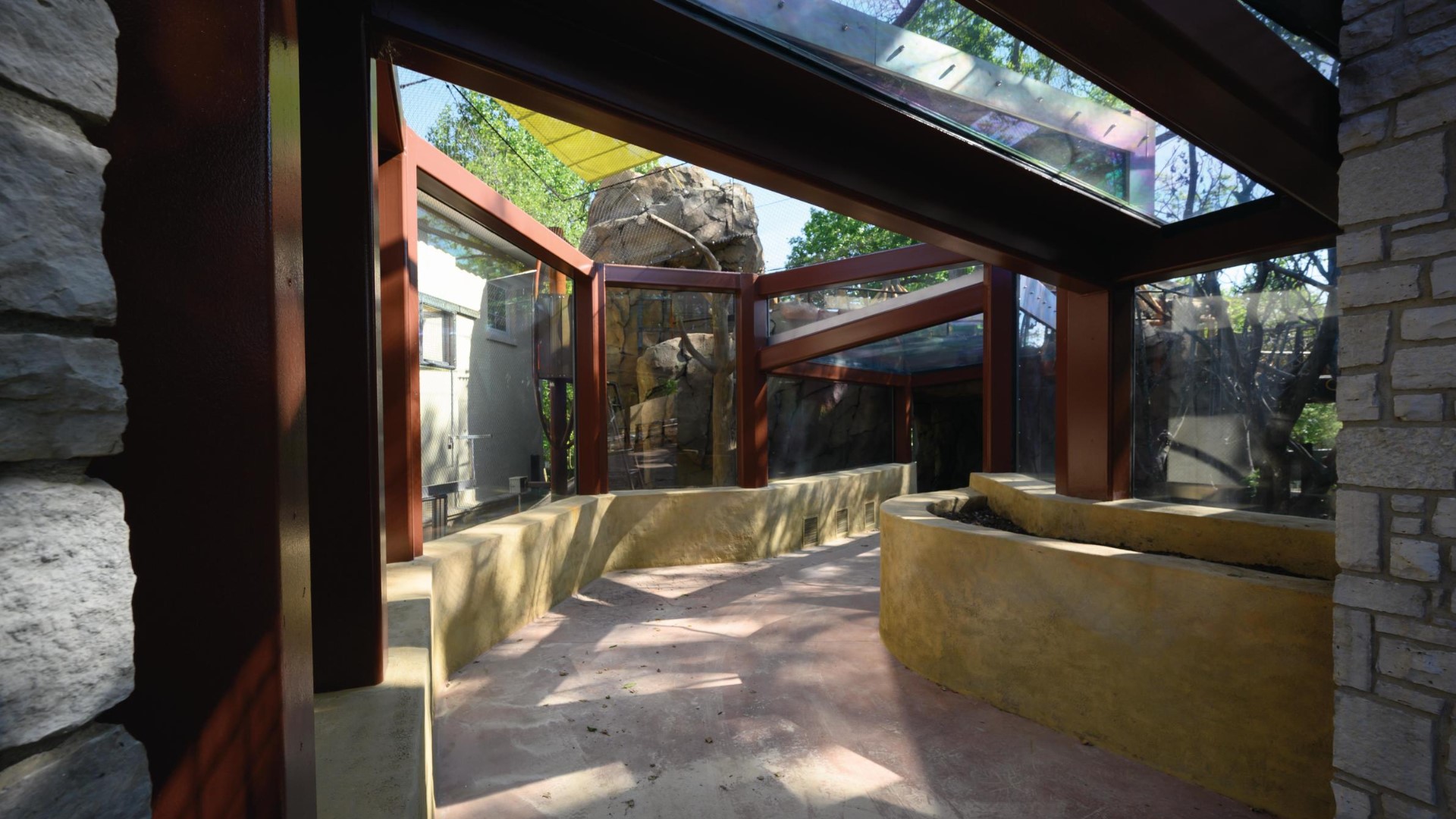 Saint Louis Zoo's new primate exhibit is like a treehouse for all