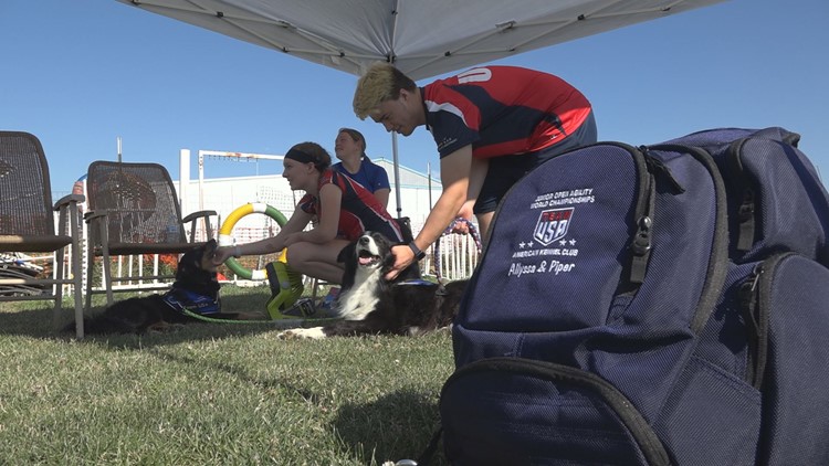 Metro East teens to travel to Finland to represent Team USA in dog agility competition