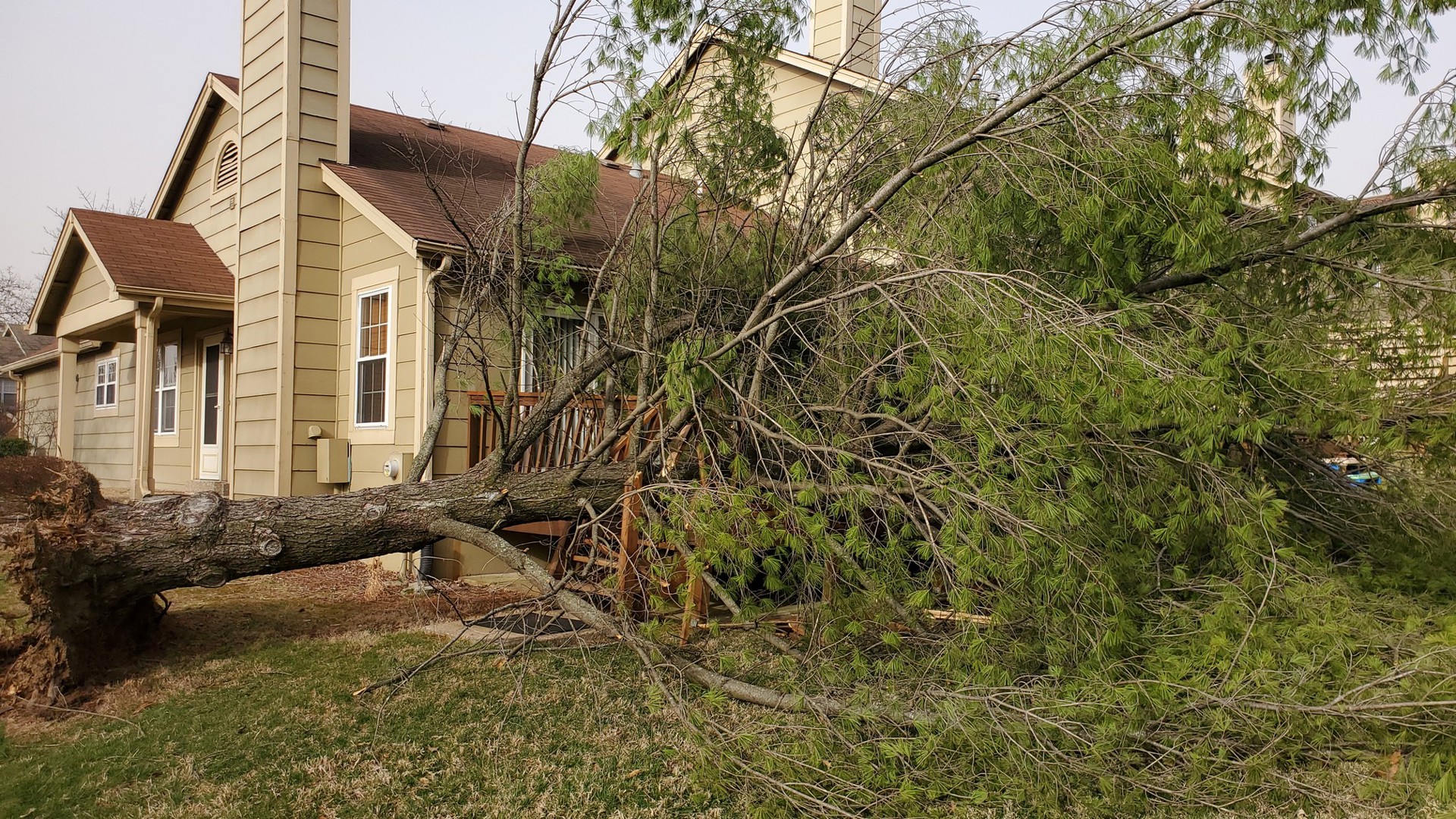 Friday night's severe weather blows down trees in Maryland Heights ...