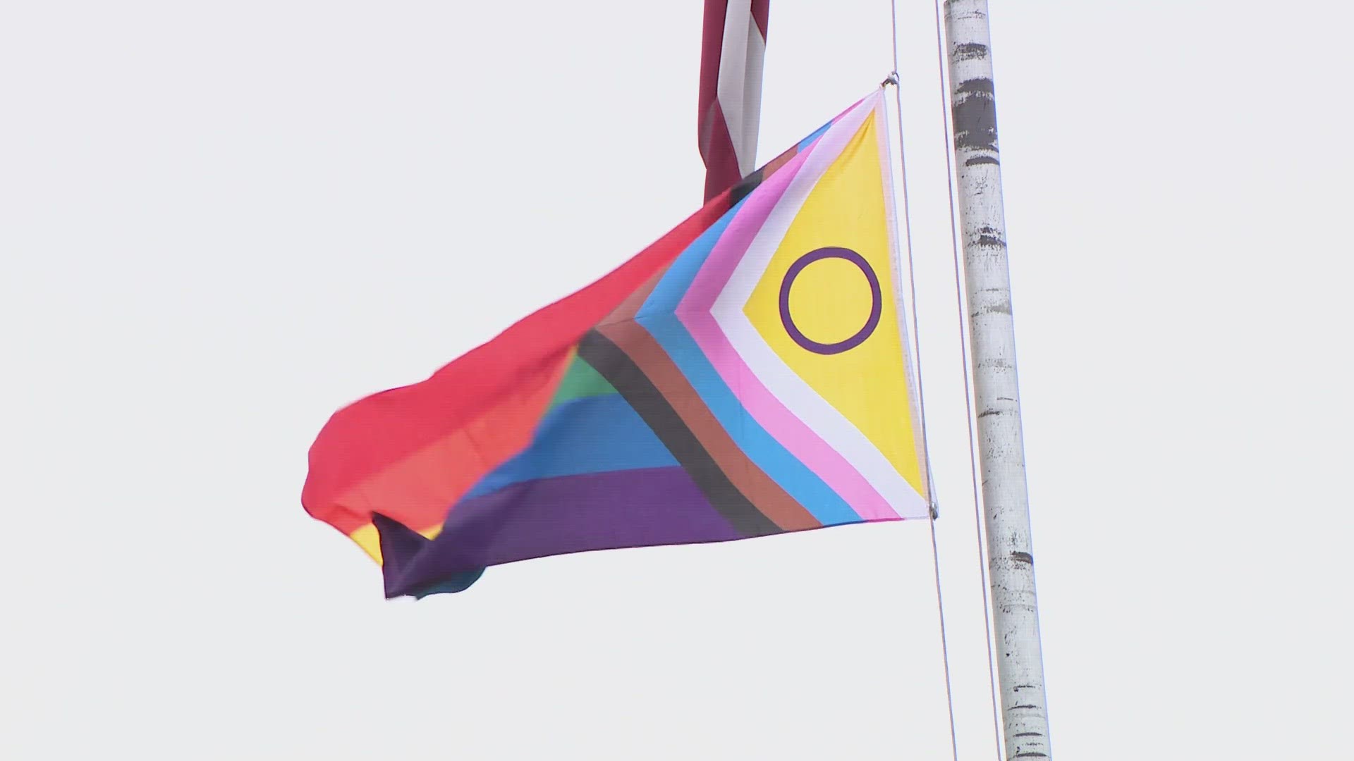St. Louis City and County are standing in solidarity with the LGBTQIA+ community by raising Pride flags Thursday. June 1 kicks off the start of Pride Month.