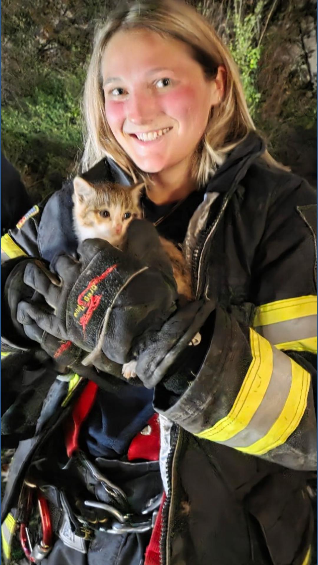 3 hour rescue: Cats trapped deep in Valley Park sewer system rescued by ...