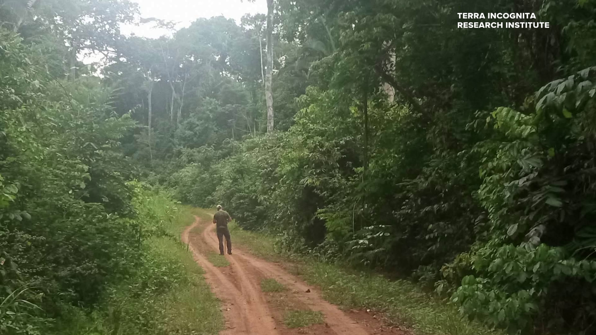 Missouri archaeologists find evidence of lost city in the Amazon | ksdk.com