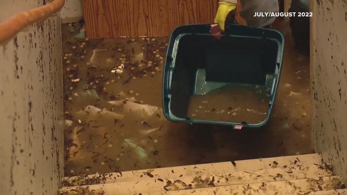 Businesses recover since July flooding in places like St. Charles - Vimarsana News