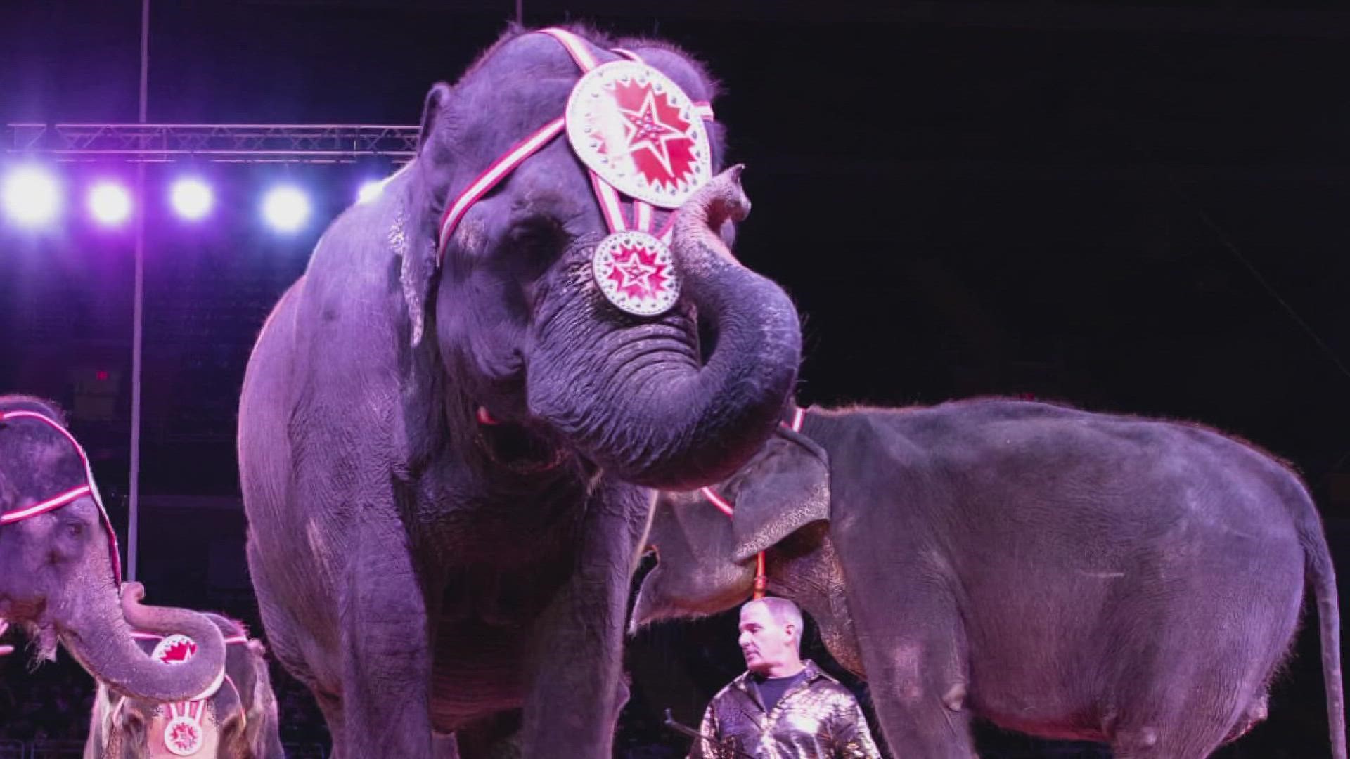Moolah Shrine Circus retires its elephants after 80 years 