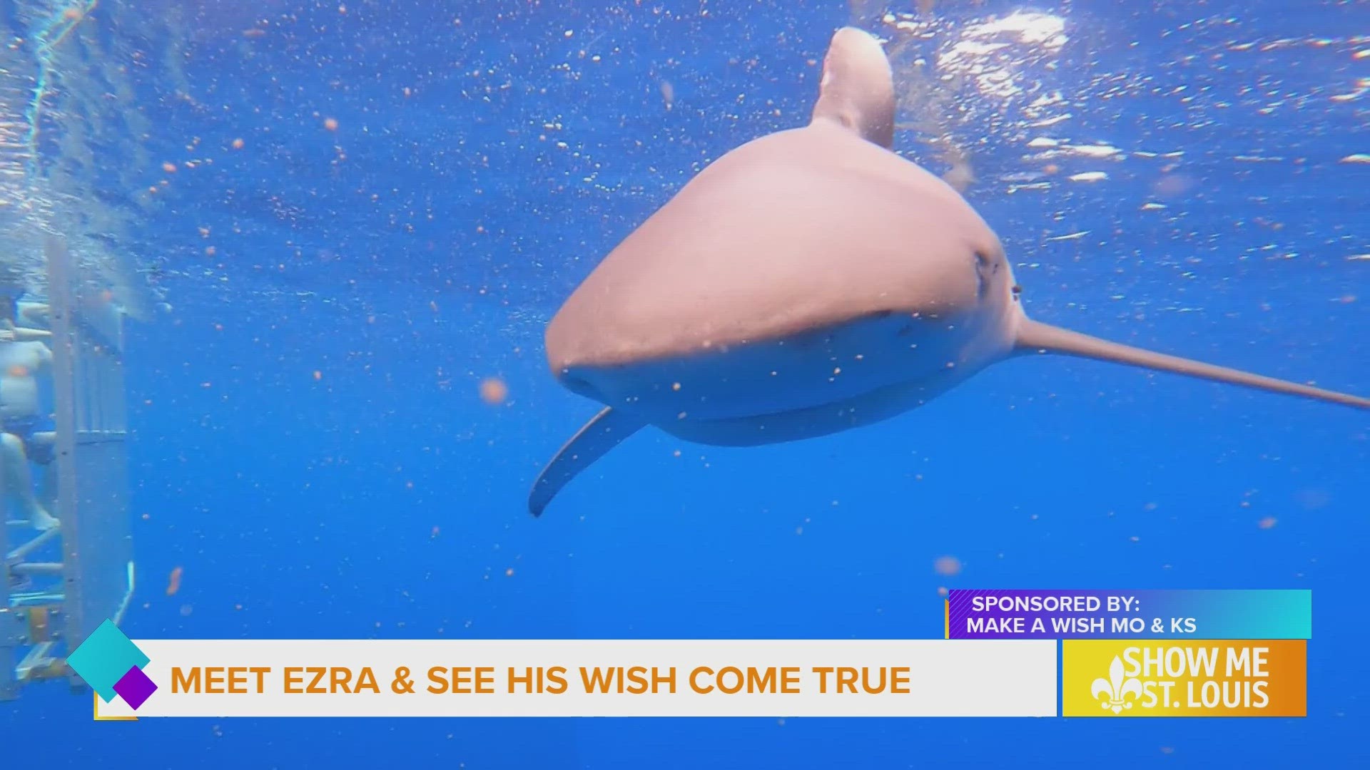 The nonprofit helps grant wishes for kids like Wish Kid Ezra, who is 9 and has cystic fibrosis. His wish to go to Hawaii was granted earlier this year.