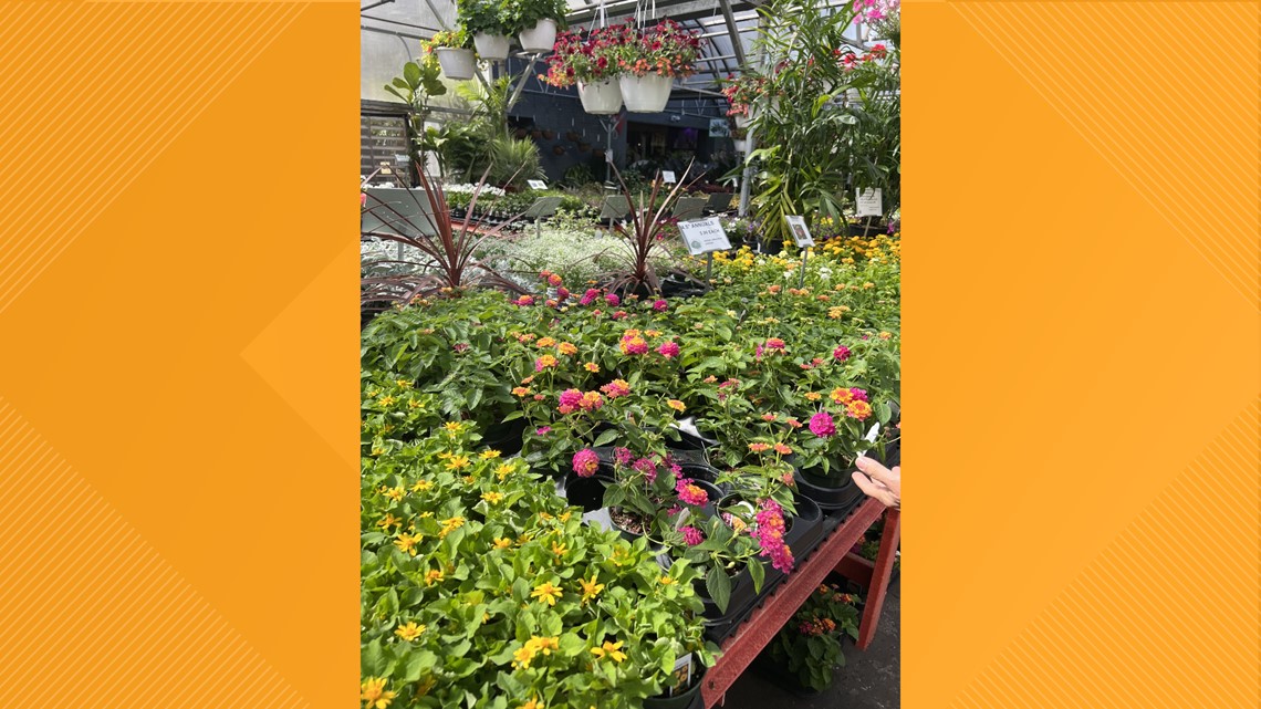 A guide to spring and summer planting in the St. Louis region