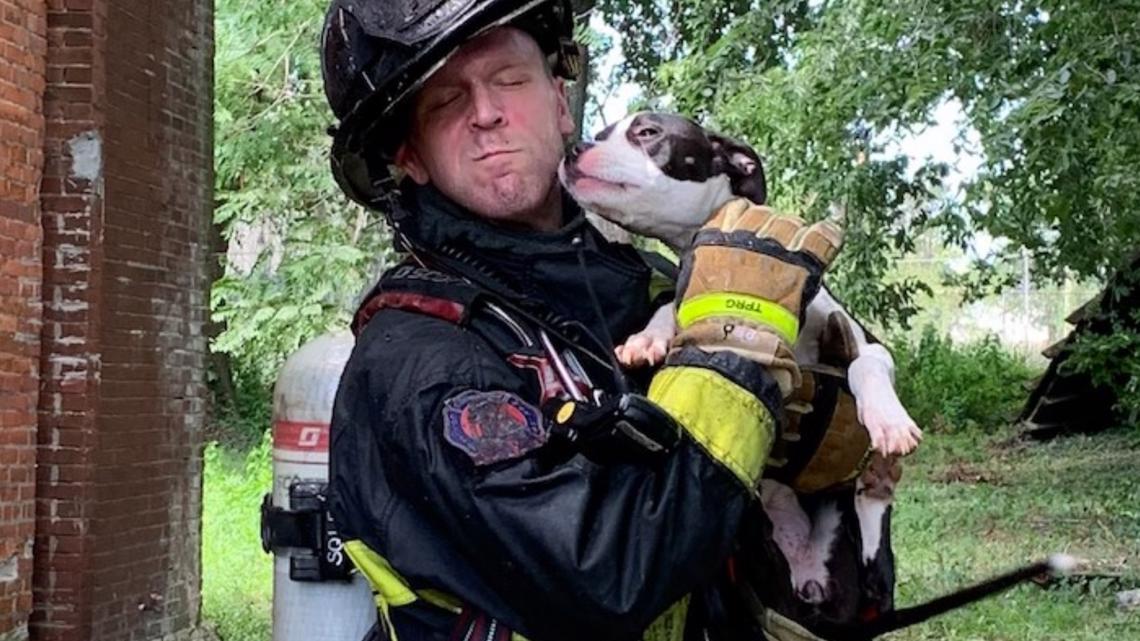 Dog rescued from fire on North Florissant Avenue | ksdk.com