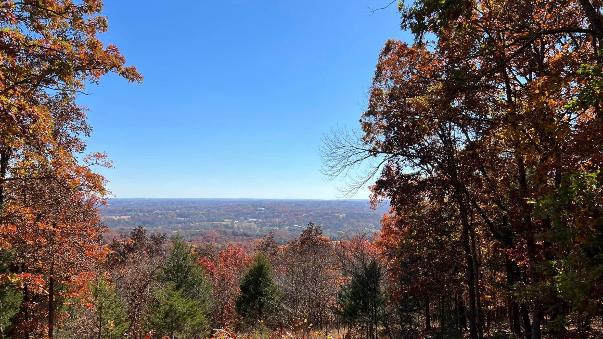 Last year was not great for fall foliage, but will this year be better? We talked to an expert.