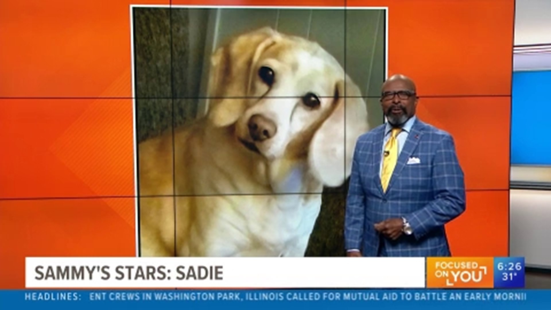 Sammy's Stars: Jan. 10, 2024 | ksdk.com