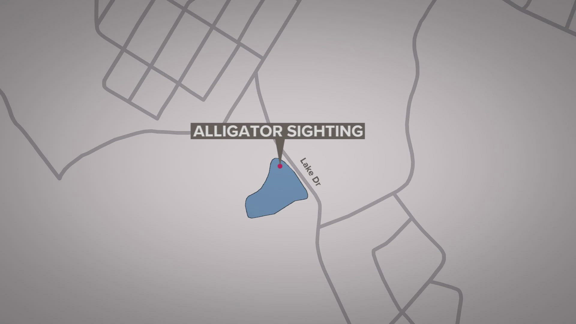 Police are alerting the public about a small alligator being spotted in Bonne Terre Lake. Police said the alligator was 20 inches in length and non-aggressive.