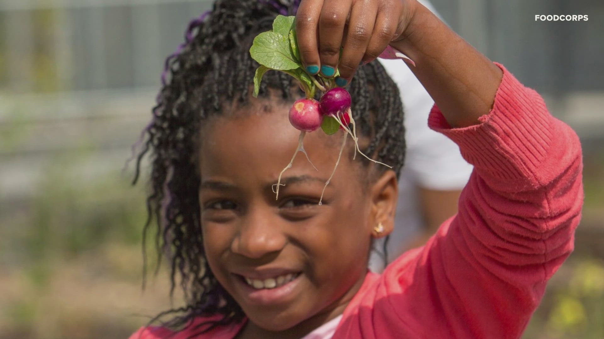 The national non-profit is on a mission to make sure  the 50 million students in our nation's public school system don't have to pay a dime for school meals.