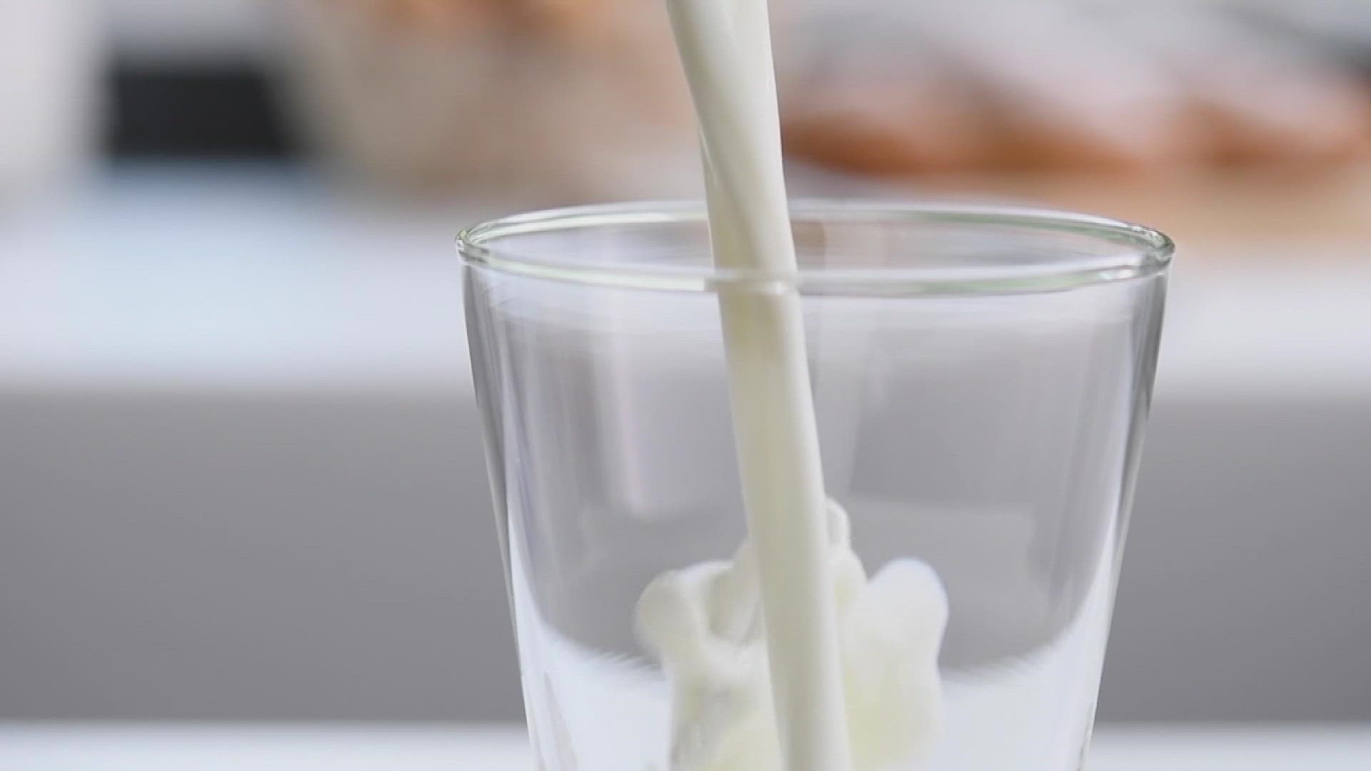 Drinking milk is linked to improved bone health, and it can reduce the risk of cardiovascular disease and Type 2 diabetes.