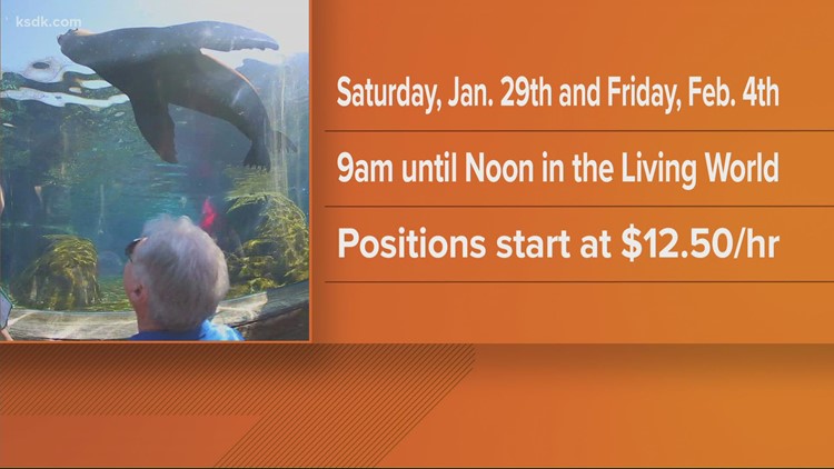 Career Central: St. Louis Zoo to host hiring fairs