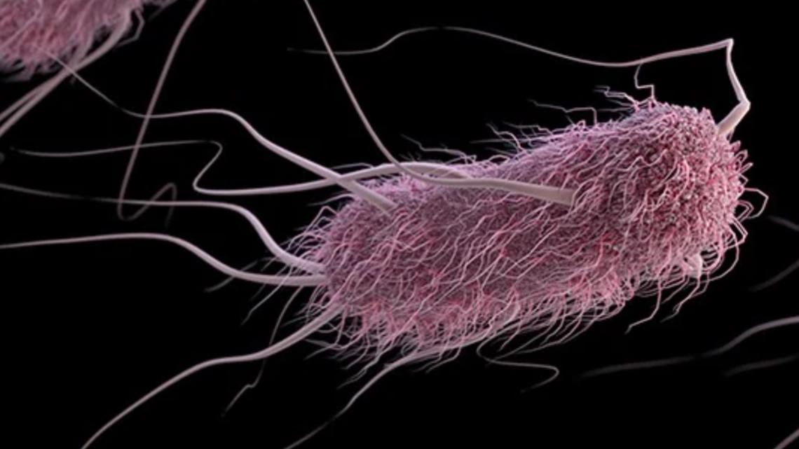 Multistate E. coli outbreak originated at California farm, regulation companies say