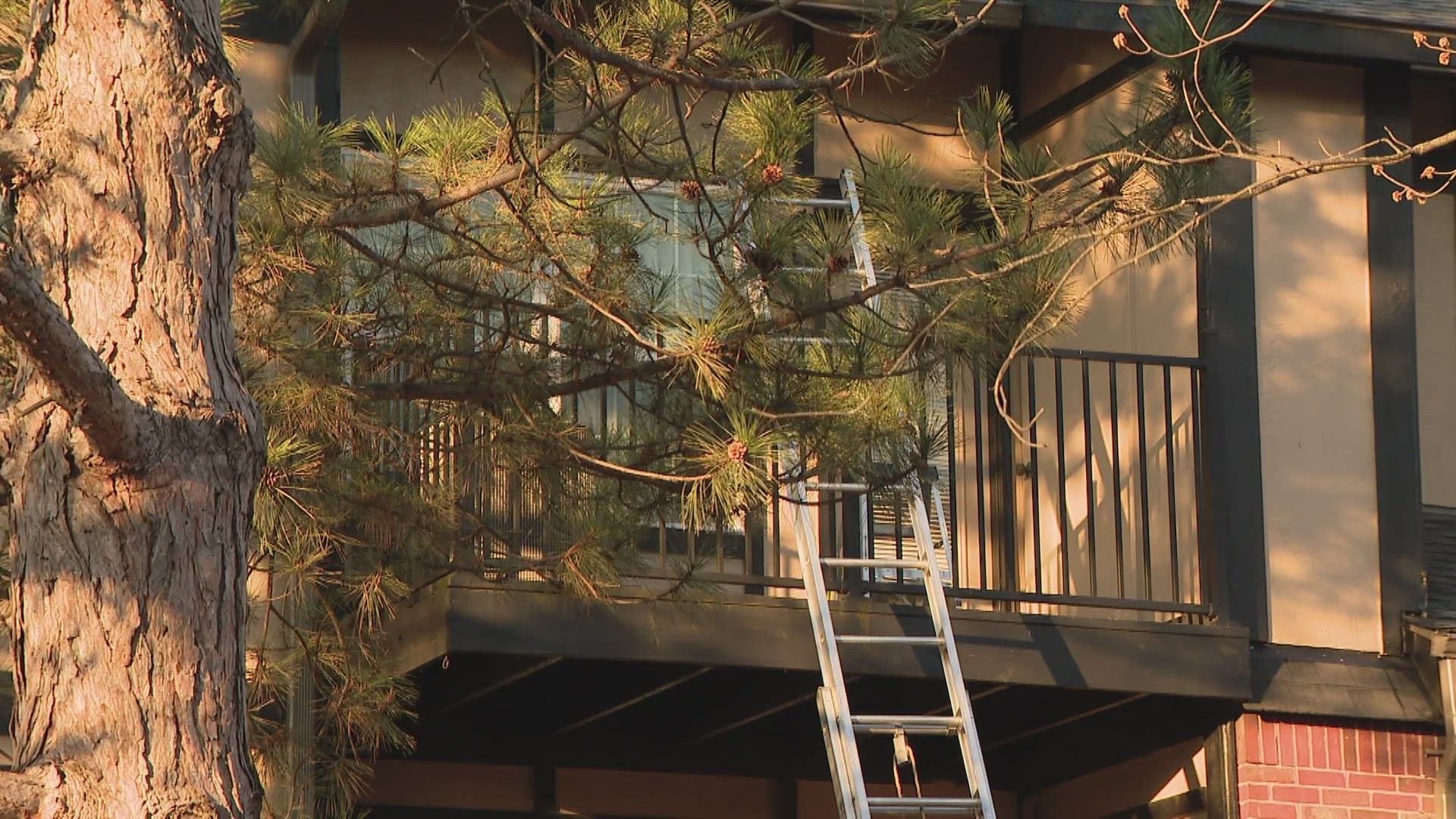 2 dead in fire at St. Charles apartment complex Tuesday morning | ksdk.com