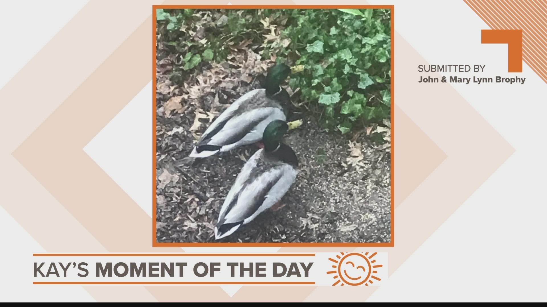 Kay's Moment of the Day for April 20