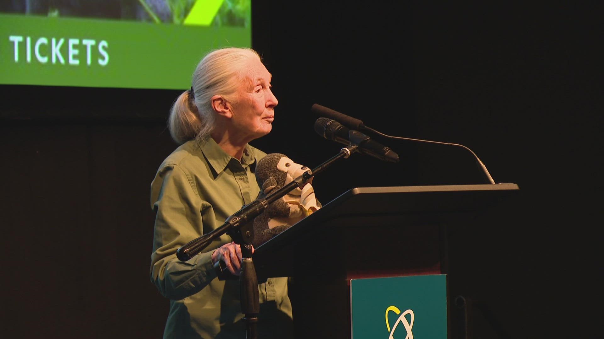 The traveling experience is called "Becoming Jane: The Evolution of Dr. Jane Goodall". It's open now.