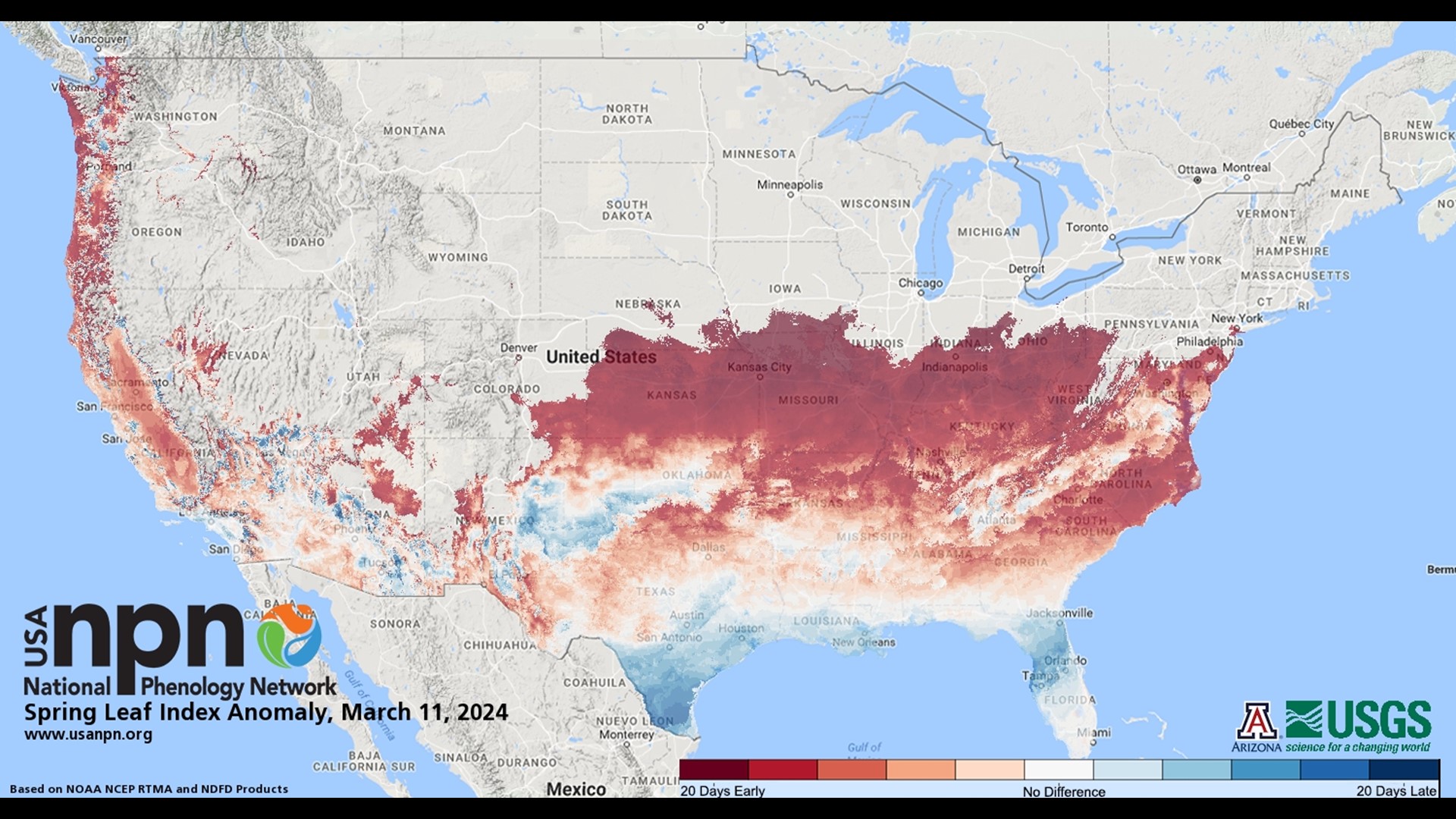 St. Louis spring garden forecast what to plant now