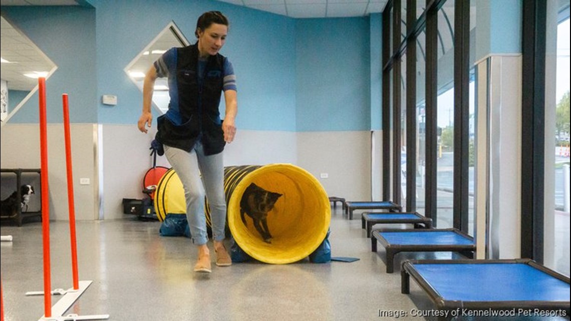 Kennelwood Pet Resorts opening new dog training, care center - Vimarsana News
