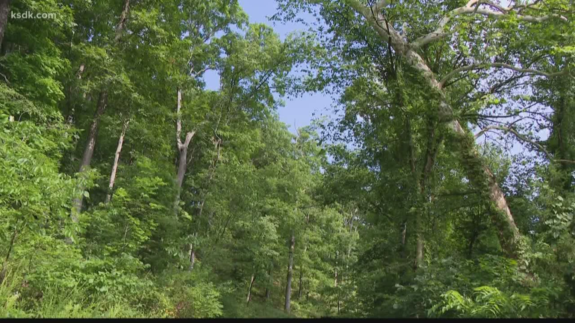 Profiting off of public land. People who live in St. Charles County are accusing the University of Missouri of doing just that, tearing down nature near the Katy Trail to put up a new neighborhood.