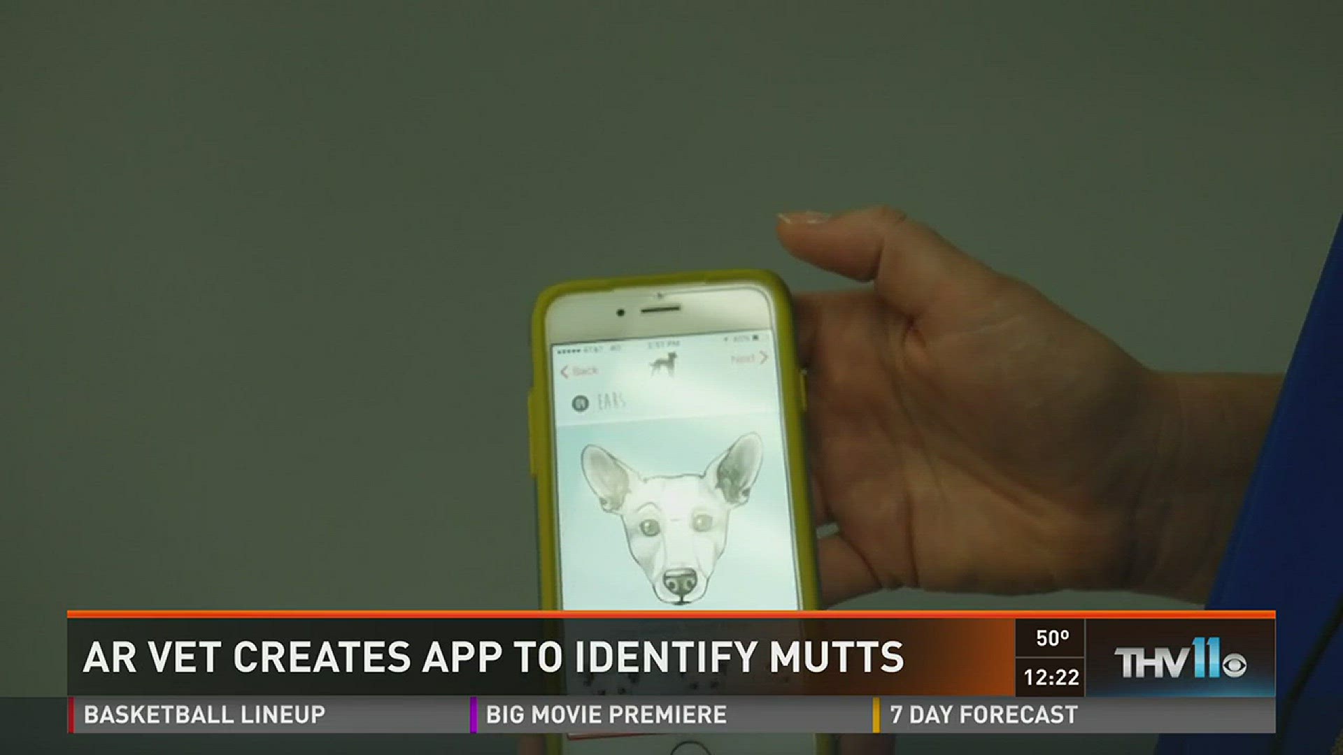A Little Rock veterinarian has created an app to determine what breeds make up your beloved mutt