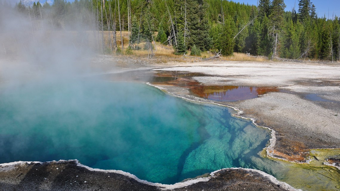 Part of a foot in a shoe is discovered floating in a hot spring at