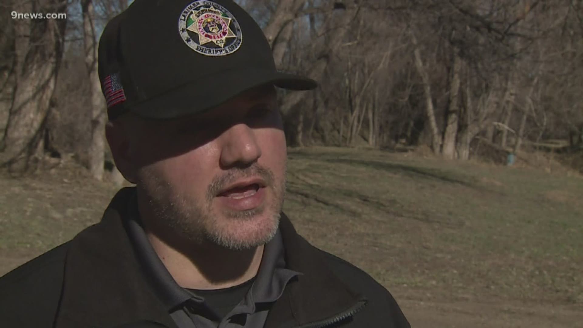 Mountain lion attack reported in Loveland, Colorado | ksdk.com