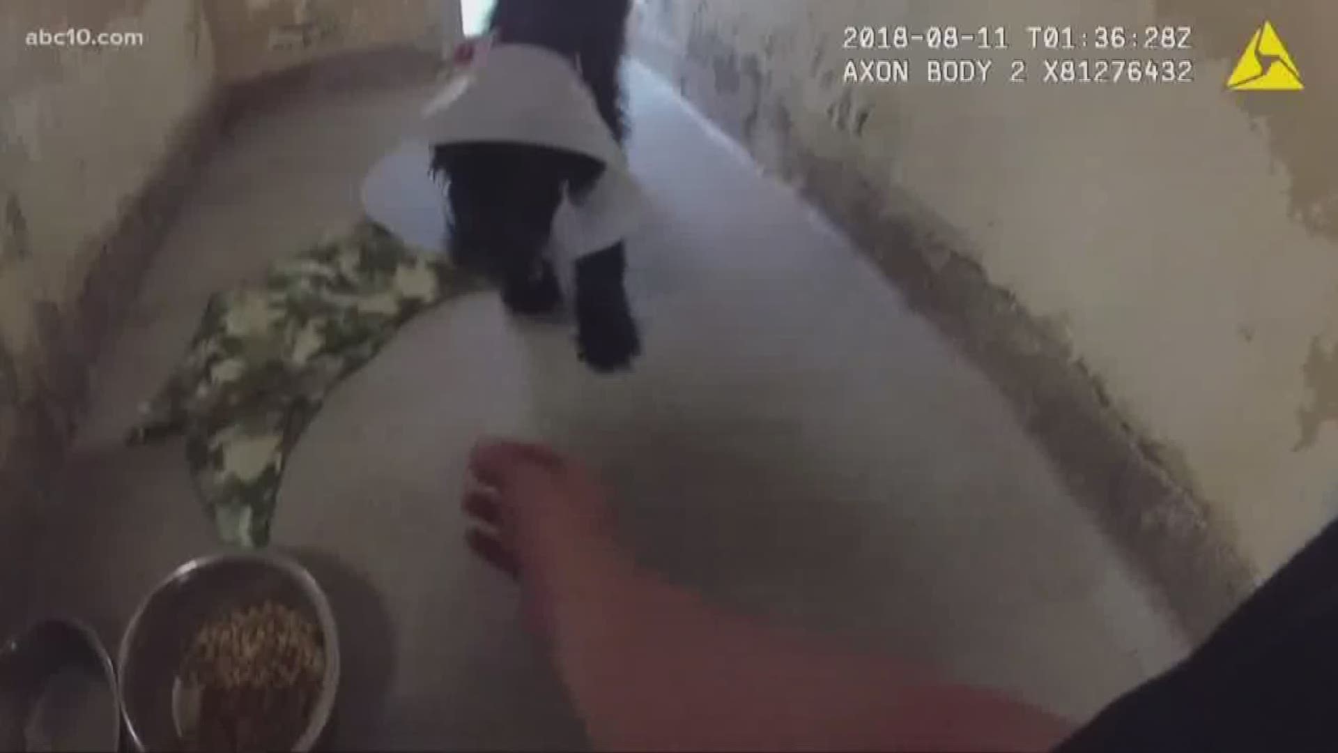 The Vacaville PD released body camera footage of them rescuing animals from the Solano County SPCA as the Nelson Fire neared. 