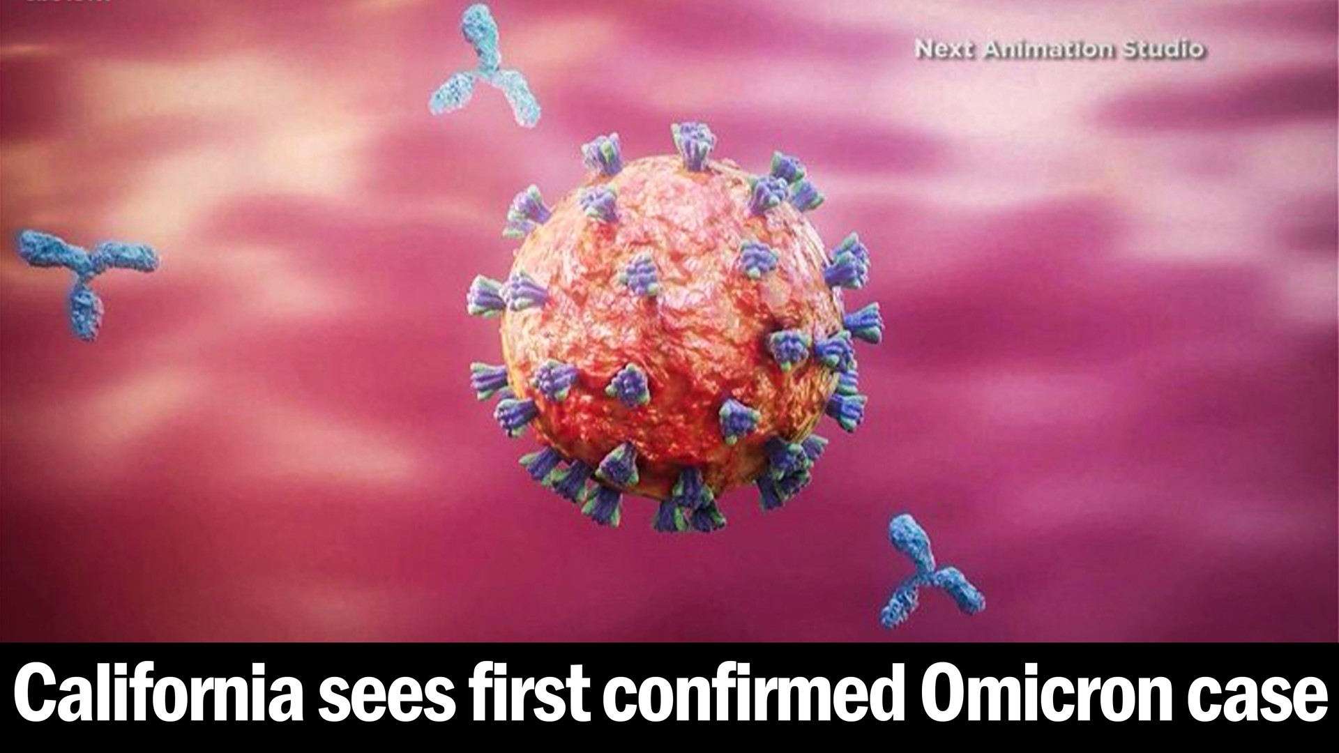 The news comes as scientists continue to study the risks posed by the new strain of the virus.