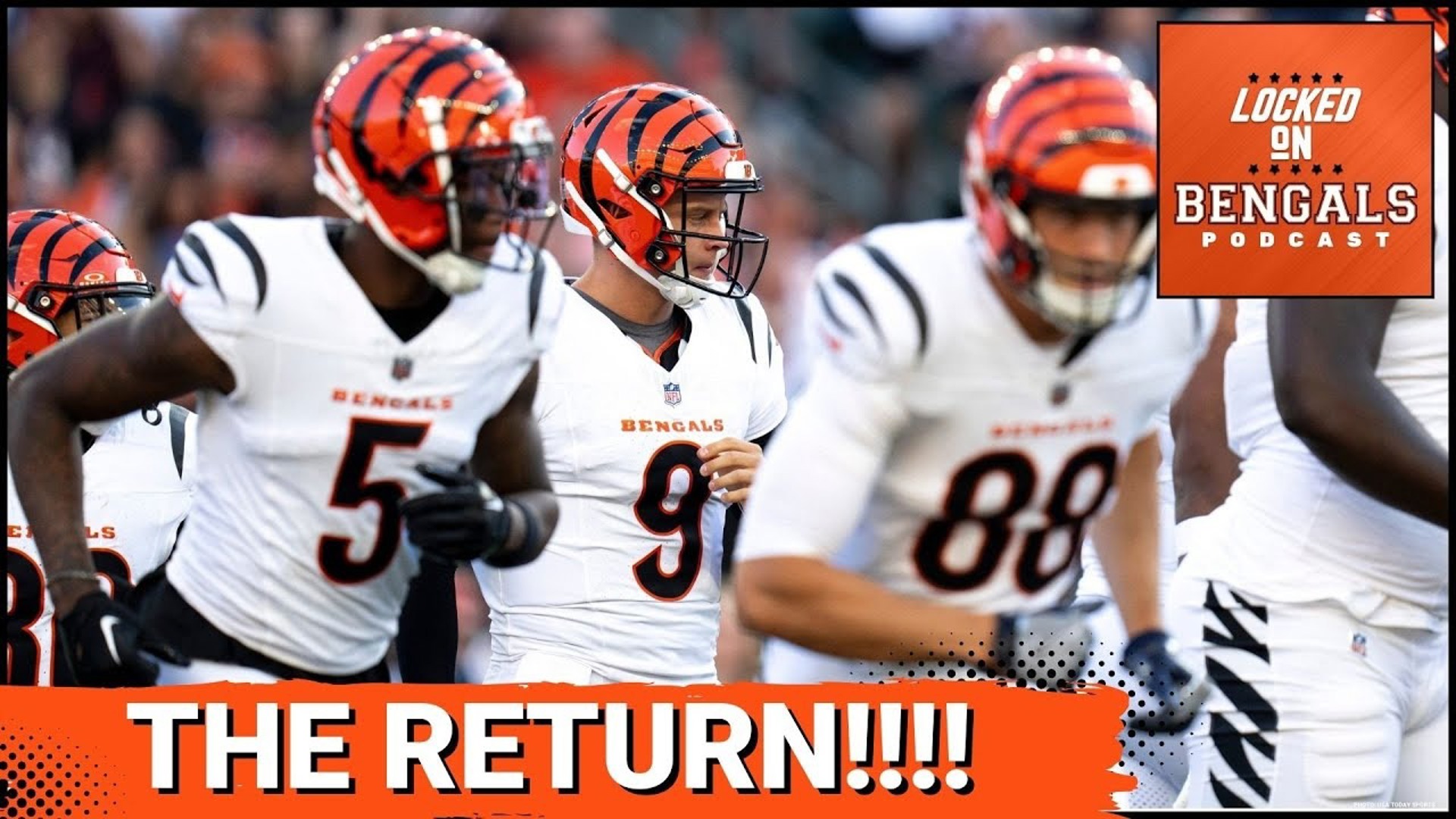 The Cincinnati Bengals lost to the Tampa Bay Buccaneers 17-14 on Saturday night.