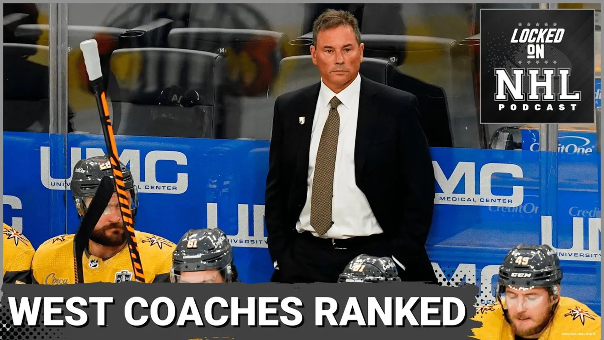 Top 10 coaches in the NHLs Western Conference ksdk